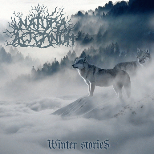 Winter Stories